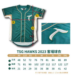 TSG HAWKS2023客場球衣