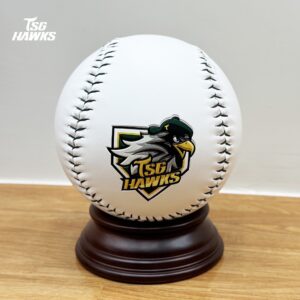 TSG HAWKS 隊徽大球
