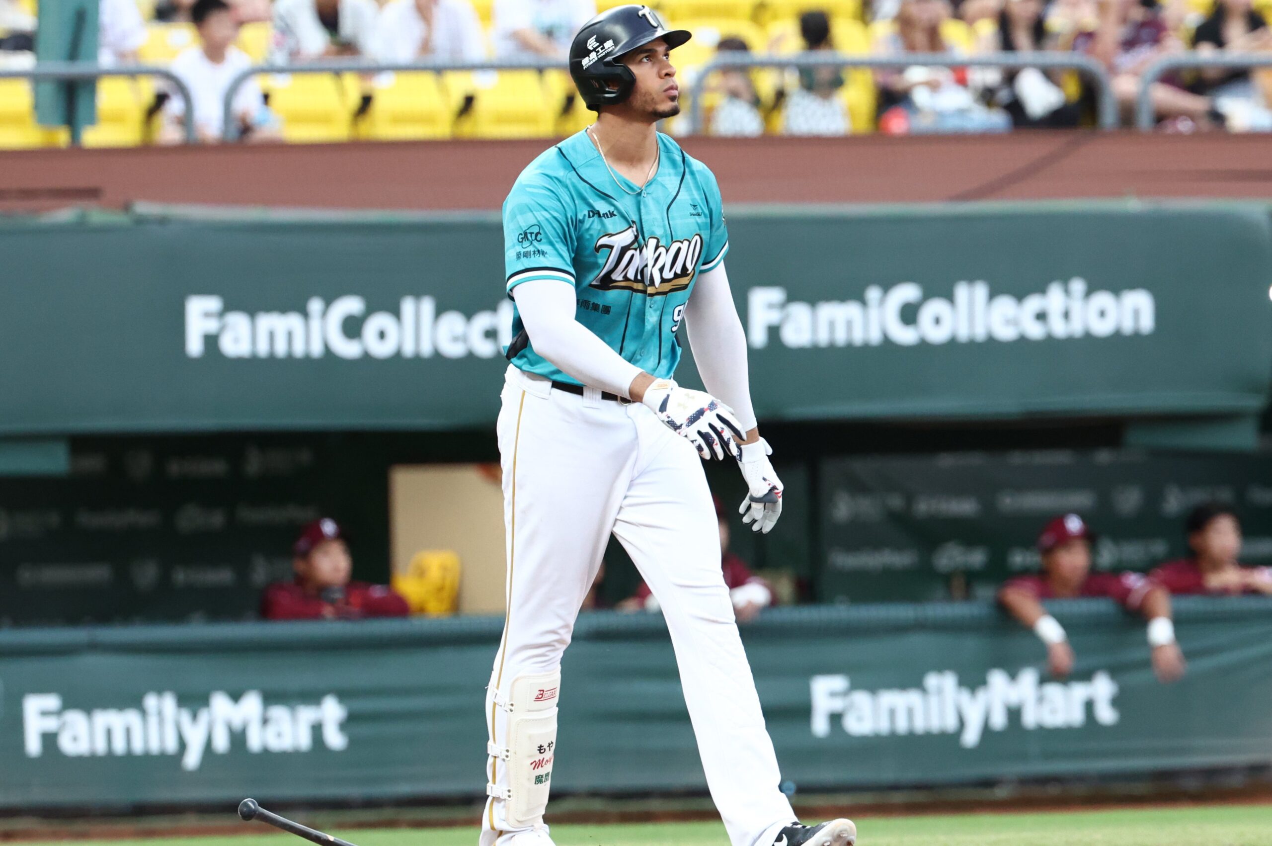 Read more about the article 魔鷹敲本季第17轟 台鋼雄鷹1分差戰勝樂天桃猿