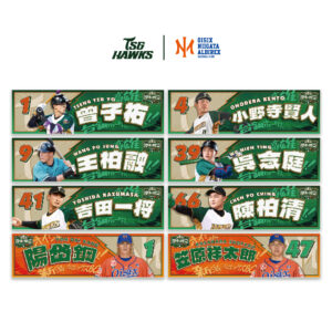 台鋼雄鷹 x OISIX NIIGATA ALBIREX BC 捍衛領空球星應援毛巾