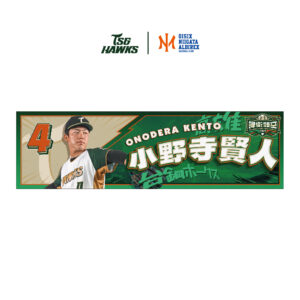 台鋼雄鷹 x OISIX NIIGATA ALBIREX BC 捍衛領空球星應援毛巾