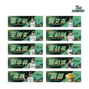 2025鷹PROVE球員應援毛巾